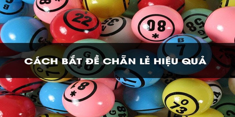 Cách Bắt Cầu Chẵn Lẻ Cho Newbie Hiệu Quả Nhất Hiện Nay