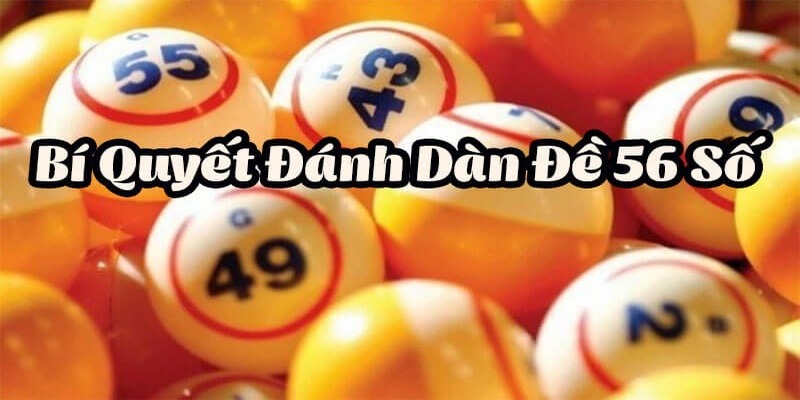 Dàn Đề 56 Có Những Con Gì - Chiến Lược Nuôi Dàn Đề 56 Số