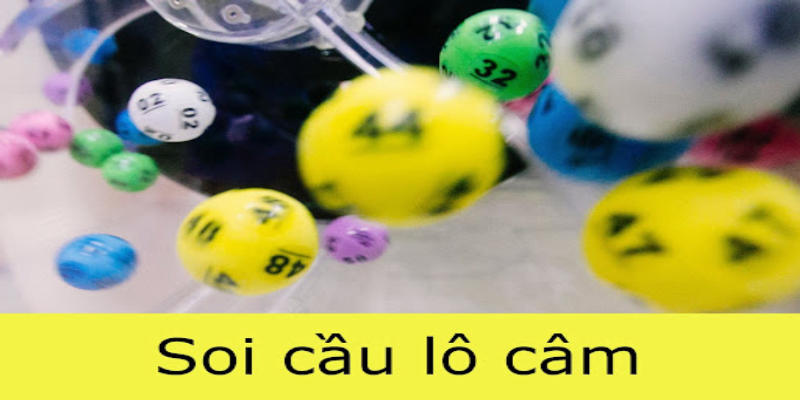 Giải Đáp Lô Đầu Câm Hôm Sau Đánh Con Gì Cùng Xosobinhthuan