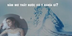 Giải Đáp Nằm Mơ Thấy Nước Đánh Số Mấy Khi Chơi Lô Đề Online 