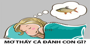 Khi Ngủ Mơ Thấy Cá Đánh Số Mấy Để Làm Giàu Nhanh Chóng