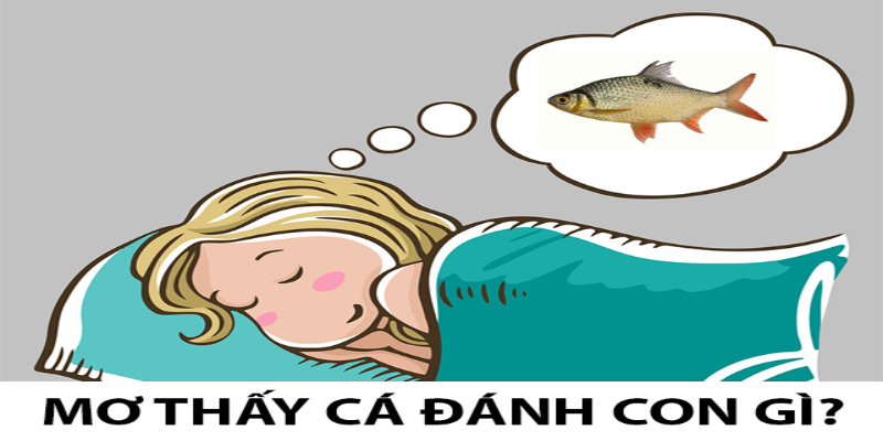 Khi Ngủ Mơ Thấy Cá Đánh Số Mấy Để Làm Giàu Nhanh Chóng