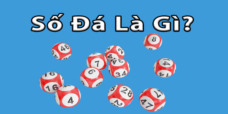 Số đá là gì ở miền Nam