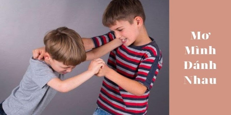 Tìm Hiểu Về Ngủ Mơ Thấy Đánh Nhau Đánh Số Mấy Trong Lô Đề 