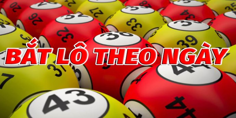 Tổng Hợp Từ Các Phương Pháp Bắt Lô Chuẩn Cho Người Mới